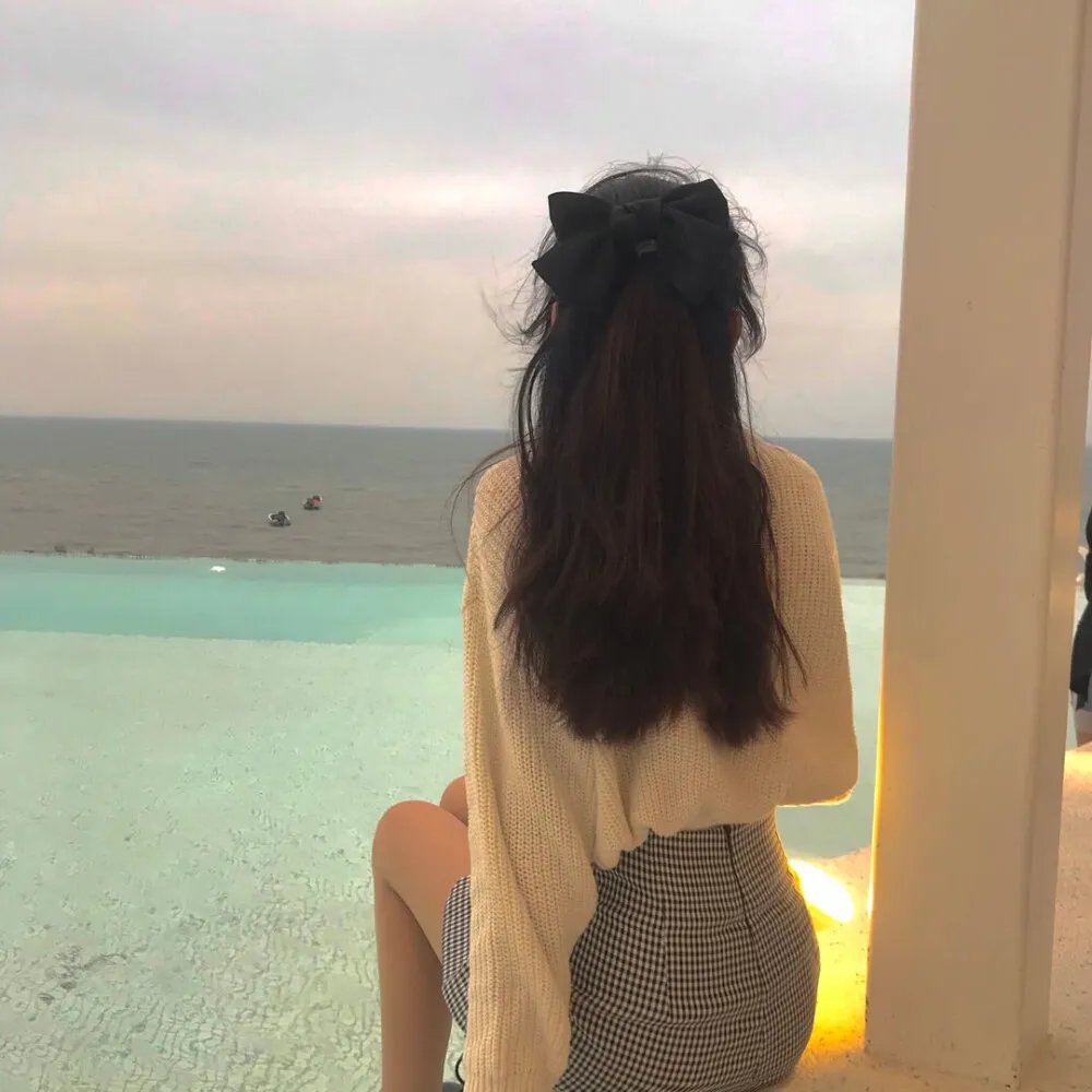 新碧血剑 封面