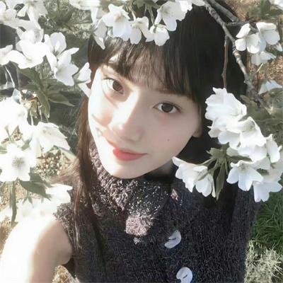 王国第二季 封面